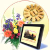 Memonto - Click here to View more details about this Product
